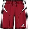 Adidas Herren Shorts Camp 11 B