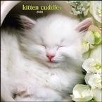 Kitten Cuddles 2008 Wall Calendar - Cat Calendars