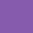PRUNE PURPLE