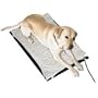 Farm Innovators Medium 17-Inch by 24-Inch Plastic Heated Pet Mat with Fleece Cover Model HM-80M, 70-Watt