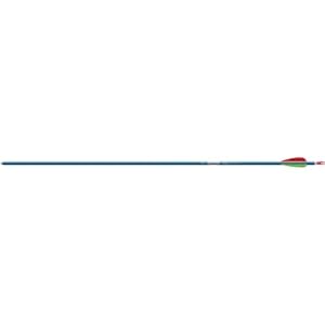 6 - Pk. Easton Genesis II Arrows, BLUE