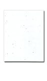 8 1/2 X 11 Astrobright Stardust White paper (100)