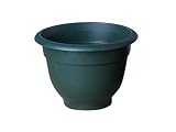 Review B.Line  / B.Line H211 Terrapota Evergreen 44cm