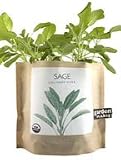 Grow Your Own Sage Herb Garden in a Bag