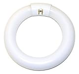 Tools & Hardware : Lights Of America 2620BC Circline Fluorescent Light Bulb FC6T9EX-L/RS