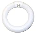 Tools & Hardware : Lights Of America 2620BC Circline Fluorescent Light Bulb FC6T9EX-L/RS