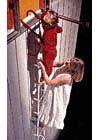 Buy 20 Ft. Bold QuickEscape QFL20 Emergency Ladder, No Sleeves by Bold