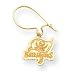 14K Tampa Bay Buccaneers Flag Kidney Wire Earrings - NF1943