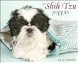 Just Shih Tzu Puppies 2010 Wall Calendar