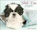 Just Shih Tzu Puppies 2010 Wall Calendar