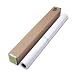 Instant-Dry Indoor Banner Gloss, 10 mil, 36 x 50` roll - Same Day Shipping (orders by 3 pm), Next Day Delivery (in most cases)