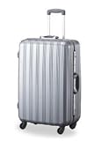 エース（ACE)World Traveler ワールドトラベラー ETERNAL（エターナル） (65cm <約4日～1週間用> 容量：約63リットル Lサイズ, ライトシルバー（０５）)