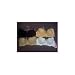 Bare Elegance Bra Case Pack 36