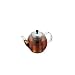 Kitchen & Housewares : Shin Cha tea press by Bodum 1803-16
