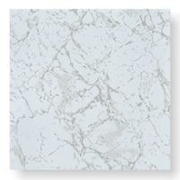 Mintcraft White Marble Vinyl Floor Tile 0306