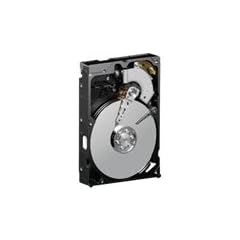 Western Digital WD800AAJB Caviar Blue 80 GB interne Festplatte (6,5 cm (3,5 Zoll), 7200 rpm, 8MB Cache, PATA)