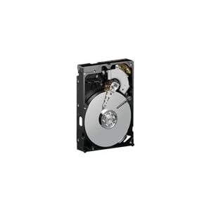 Western Digital WD800AAJB Caviar Blue 80 GB interne Festplatte (6,5 cm (3,5 Zoll), 7200 rpm, 8MB Cache, PATA)