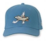 Aberdeen Ironbirds Road Cap by New Era