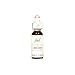 Bach Essence Chicory 20 Milliliters
