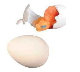 Kids Grow Dinosaur Egg 3 inch 1 Dozen Kids Grow Dinosaur Egg 3 inch 1 Dozen