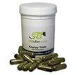 Homeopathic Energy Tonic - Support energy, health and vitality in pets