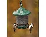 BIRDQUEST CLINGERS ONLY BIRD FEEDER GREEN