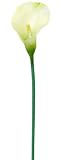 Artificielles - arum, H. 70cm, D. 13cm blanc neige artificiel