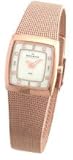 Skagen Women's 380xsrr1 Stainless Steel Watch