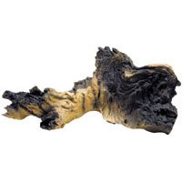 Driftwood - Mangrove - 9 14 in. x 6 in. x 3 14 in. - Buy Driftwood - Mangrove - 9 14 in. x 6 in. x 3 14 in. - Purchase Driftwood - Mangrove - 9 14 in. x 6 in. x 3 14 in. (Penn Plax, Home & Garden, Categories, Pet Supplies, Fish & Aquatic Pets, Aquarium Accessories, Decor, Driftwood)