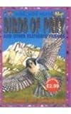Birds of prey and other feathered friends