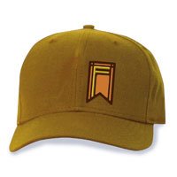 Fresno Grizzlies Adjustalbe Alt 1 Cap by New Era