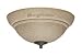 Emerson TB735AMM Tommy Bahama Trella Light Fixture in Amber Mist TB735
