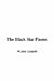 The Black Star Passes (Hardcover)