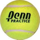 Set of 4 Penn Practice Tennis Balls