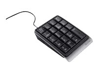 Childrens Toyshop  Electronics : Labtec Number Pad for Notebooks (USB, Black]