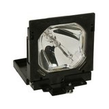 Lighting Technologies International LTIP/6102924848