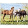 Ravensburger Horse Pals 60 Piece Puzzle