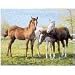 Sporting Goods : Ravensburger Horse Pals 60 Piece Puzzle