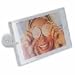 Electronics : Acrylic Frame w/ AM/FM Radio