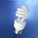 Mini Twist Fluorescent, 60 Watt