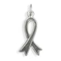 Sterling Silver Gray Enamel Awareness Ribbon Charm, 7/8 inch, Diabetes