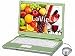 日本電気 LaVie L LL550/KG(A4ノート/15.4型ワイド液晶搭載) Vista-HomePremium PC-LL550KG6GN