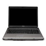 Toshiba Satellite Pro L350-S1001V - Core 2 Duo T8100 / 2.1 GHz - Centrino - RAM 2 GB - HDD 160 GB - DVD?RW (?R DL) / DVD-RAM - GMA X3100 Dynamic Video Memory Technology 4.0 - WLAN : 802.11 a/b/g/n (draft) - Vista Business / XP Pro downgrade - 17 Widescreen TFT 1440 x 900 ( WXGA+ ) TruBrite - camera