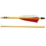 Cajun Archery - 