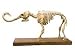 Dinosaurier-Fossil 3D Mammut