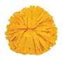 Single 6" Show Pom w/ Spirit Handle