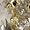 Gold Mix