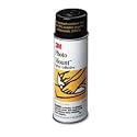 Photo Mount Professional Spray Adhesive&ndash; Clear