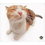 Clean Screen Cloth - Pet Me Cat