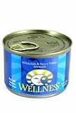 WELLNESS CAN DOG FISH & POTATO 24/6 OZ
